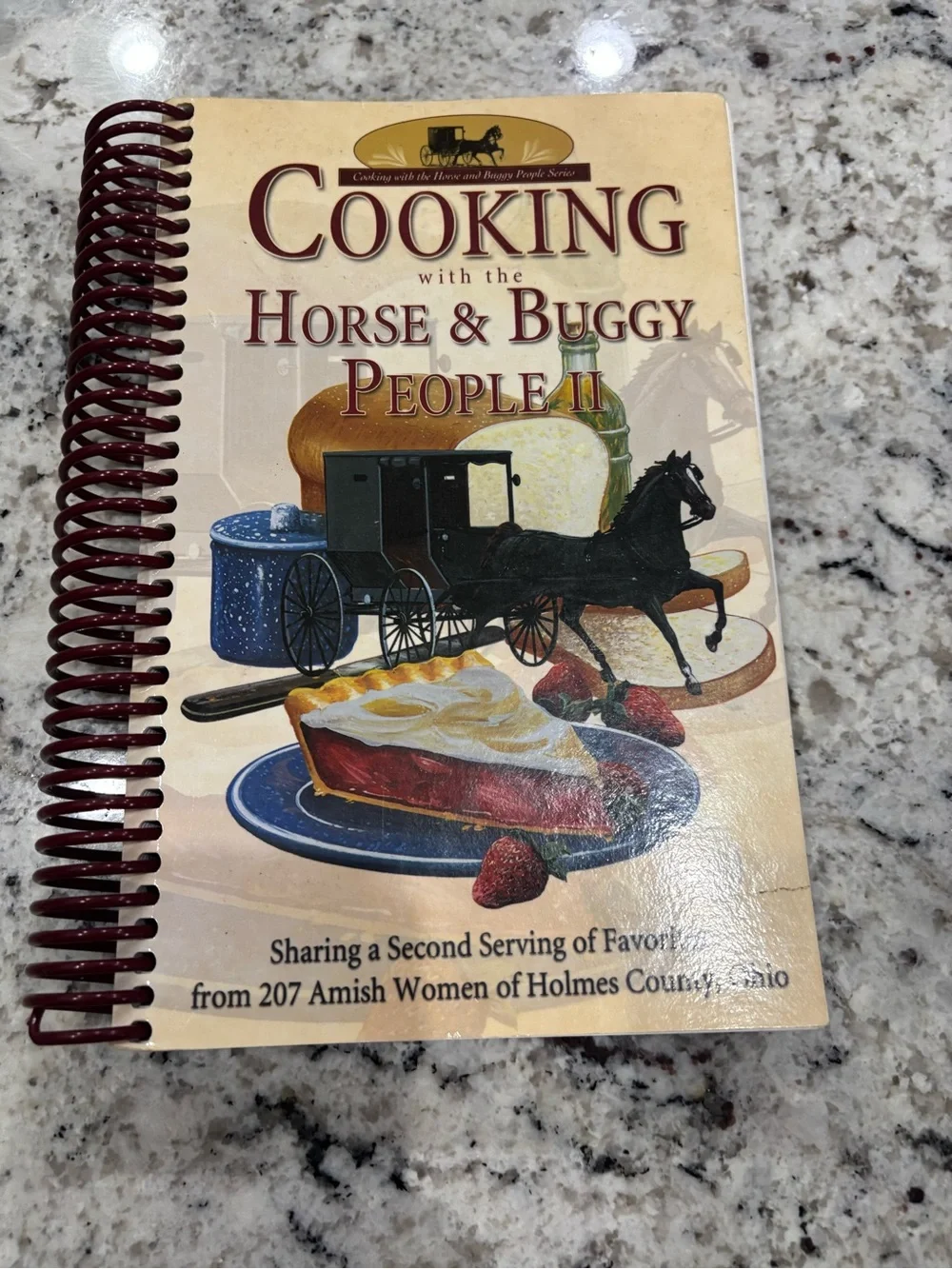 Vintage Community Cookbook Lot of 3 - Amish, Church & Home Storage Prep